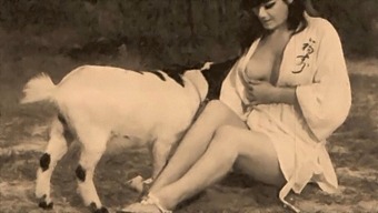 Classic Taboo: Pussy And Pooch In Retro Porn
