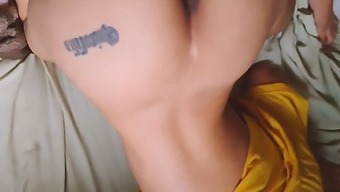 Uma Coleção Dos Vídeos Pornô Favoritos Do Meu Marido Com Uma Variedade De Atos Sexuais E Fetiches